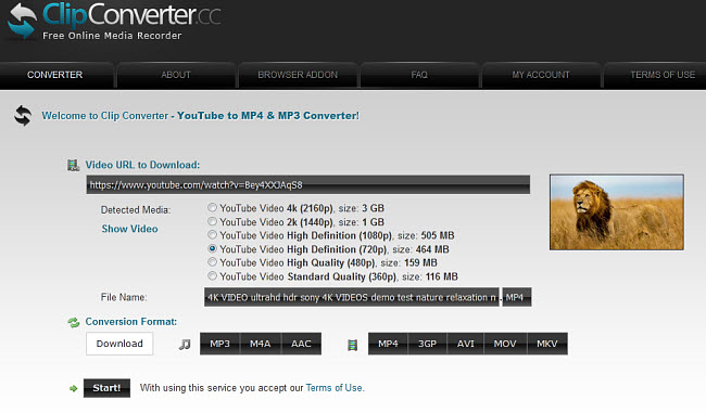 Free Online YouTube Downloader
