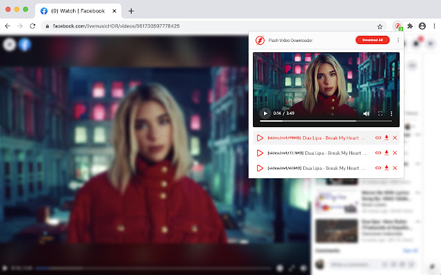 flash video downloader