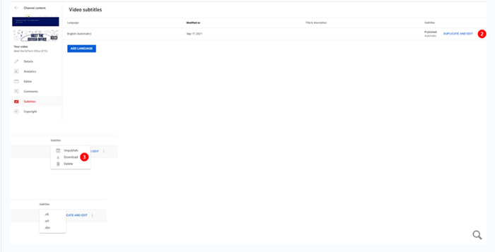 Download Subtitles from YouTube