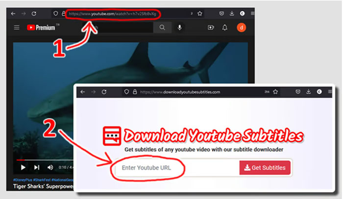 Download YouTube Subtitles