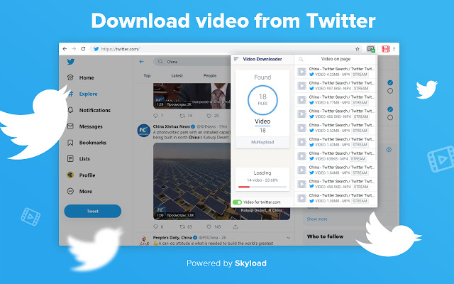 video downloader by Skyload