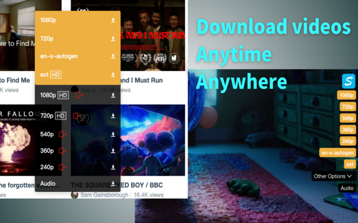 Download vimeo private videos with extension